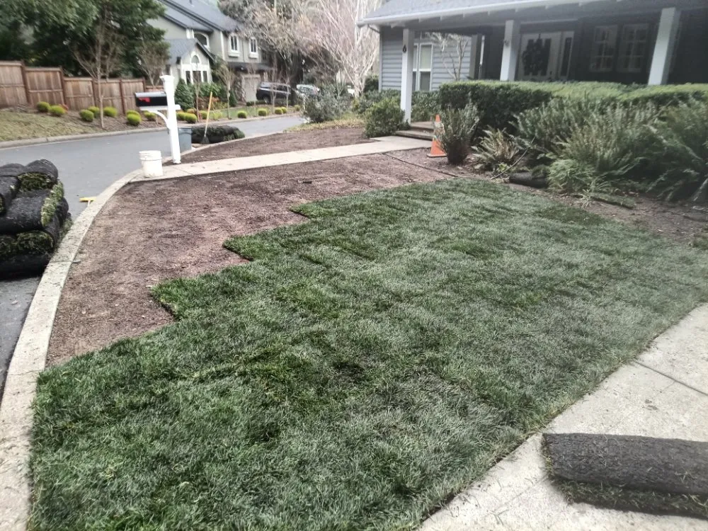 Trusted lawn mowing service with custom design across Larkspur, CA - HandyWorks Aroldo