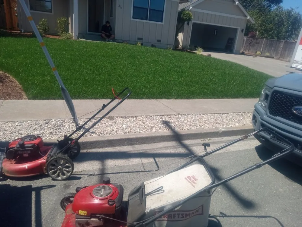 Affordable landscaping services in Larkspur, CA - HandyWorks Aroldo