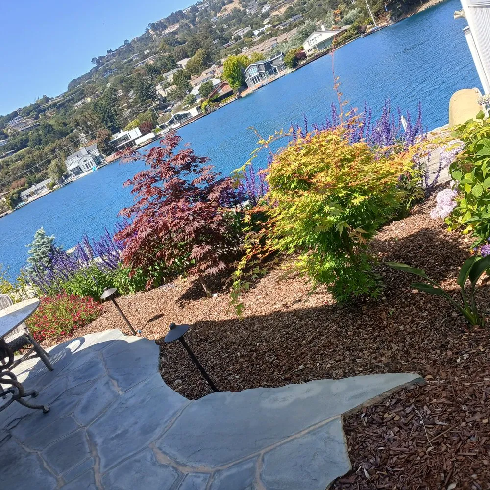 Trusted yard cleanup service near you in Larkspur, CA by HandyWorks Aroldo