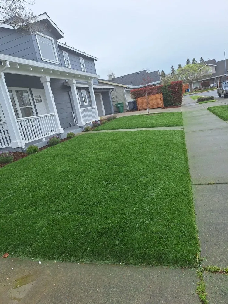 Custom landscape design for outdoor upgrades in Larkspur, CA by HandyWorks Aroldo