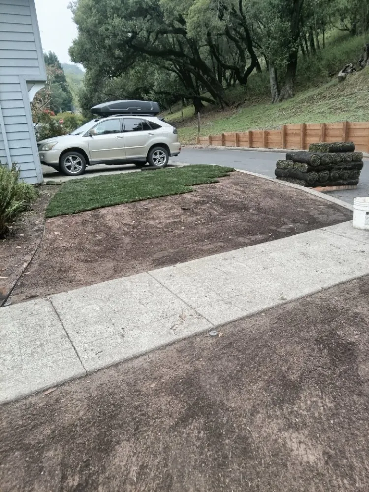 Local yard maintenance with custom design in Larkspur, CA by HandyWorks Aroldo