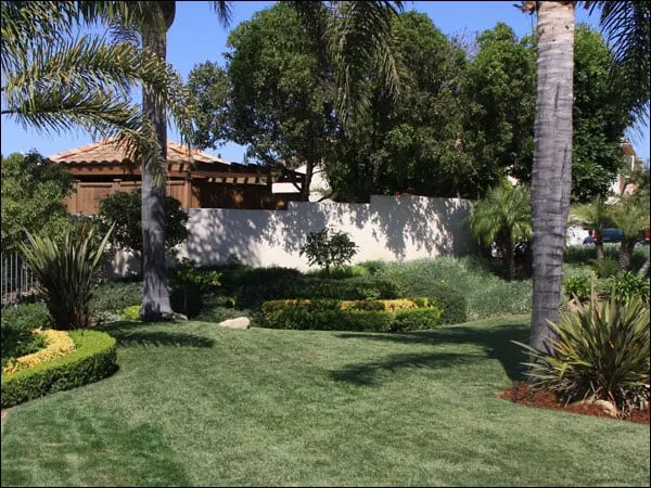 Top-rated residential landscaping in Ojai, CA - Haney Landscaping Pools & Spas