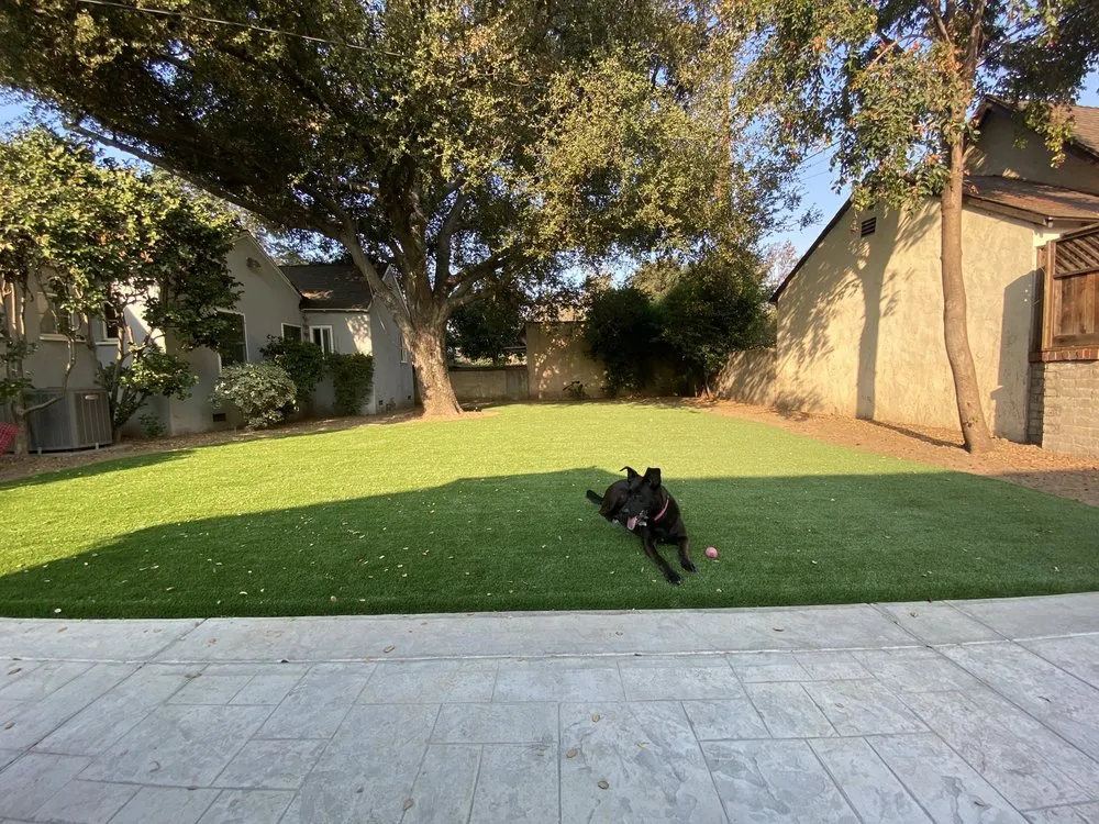 Local outdoor landscaping for year-round maintenance across Covina, CA - Haney's Landscape Maintenance