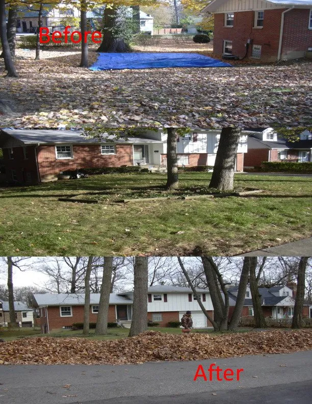 Local yard maintenance in Dayton, OH - Haney's Lawn Care & Landscaping Service