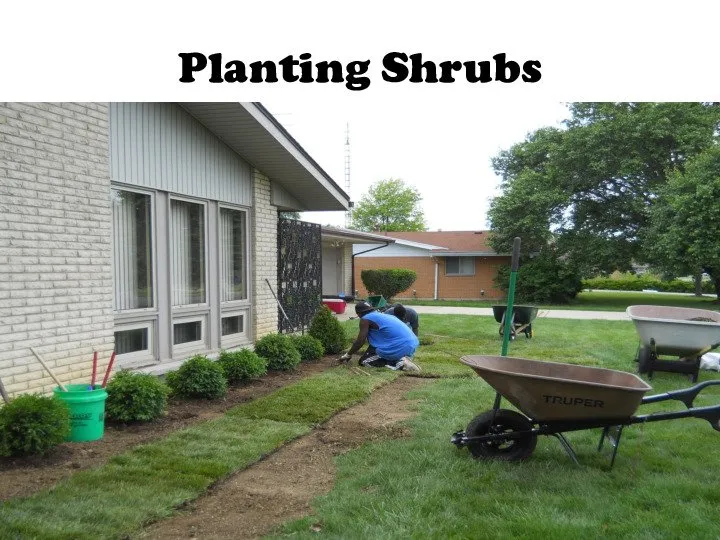 Affordable landscape installation experts serving Dayton, OH - Haney's Lawn Care & Landscaping Service
