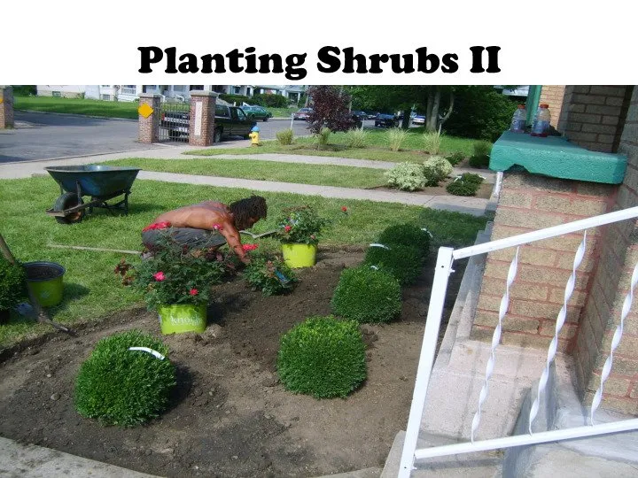 Local lawn mowing service for beautiful yards across Dayton, OH - Haney's Lawn Care & Landscaping Service