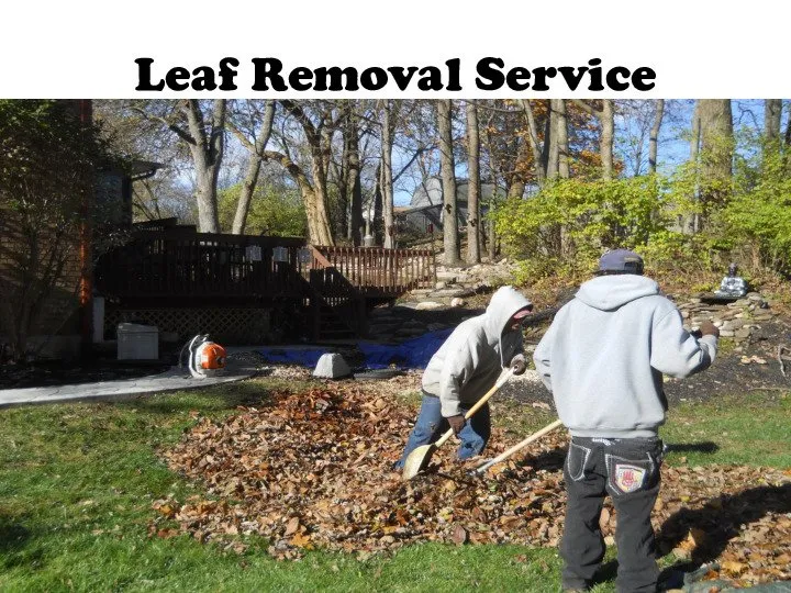 Expert lawn care service near you across Dayton, OH - Haney's Lawn Care & Landscaping Service