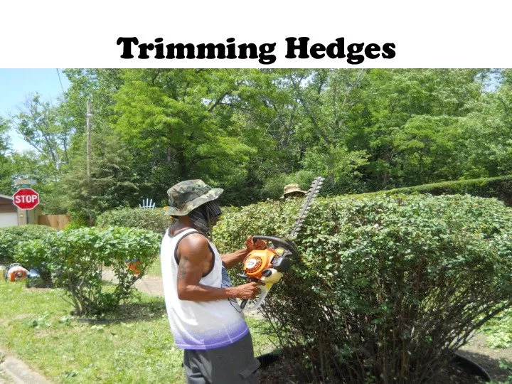 Expert yard cleanup service in Dayton, OH by Haney's Lawn Care & Landscaping Service