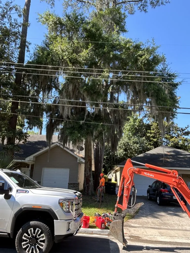 Affordable garden landscaping in Lyons, GA by Hangin Limbs