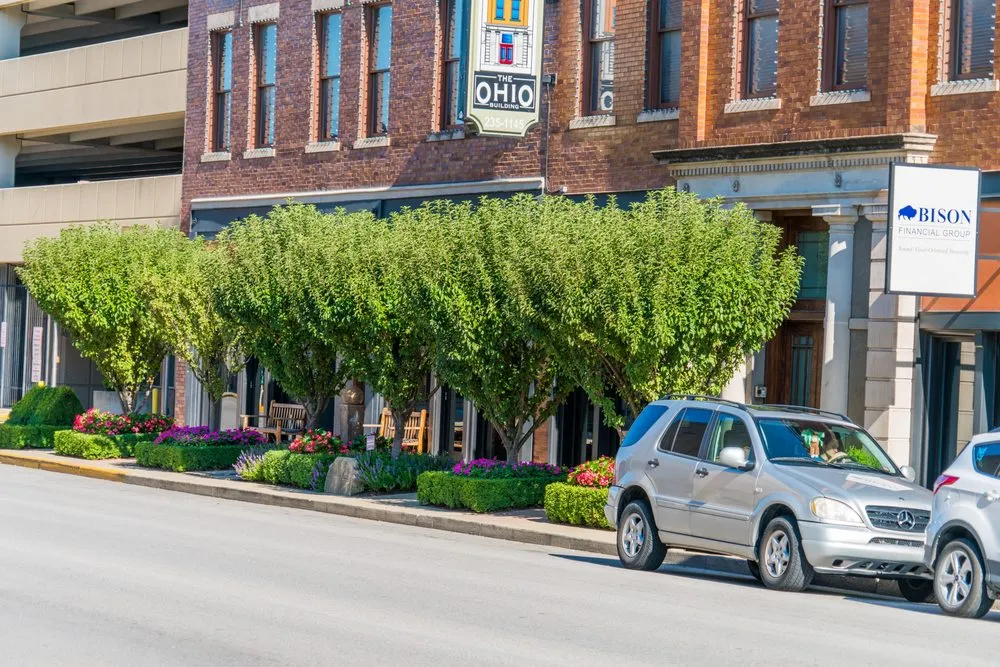 Custom yard cleanup service experts serving Terre Haute, IN - Hank Metzger Landscaping