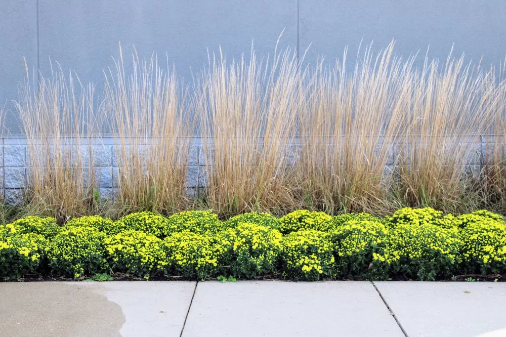 Professional outdoor landscaping in Terre Haute, IN - Hank Metzger Landscaping