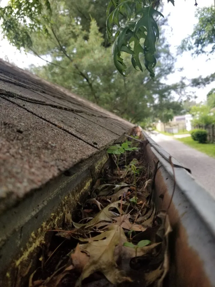 Expert residential landscaping for homes in Columbus, IN by Hankins Greenscapes