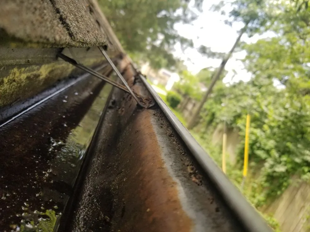 Reliable garden landscaping for year-round maintenance across Columbus, IN - Hankins Greenscapes