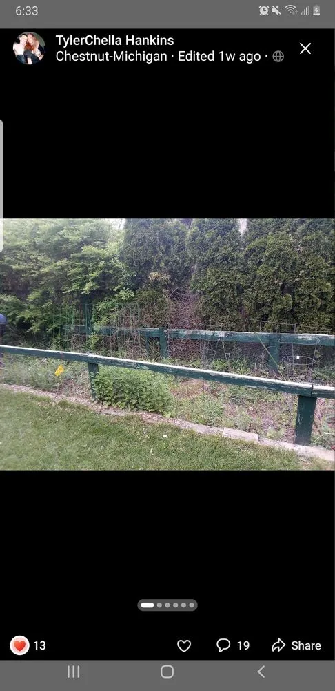 Top-rated garden landscaping in Columbus, IN - Hankins Greenscapes