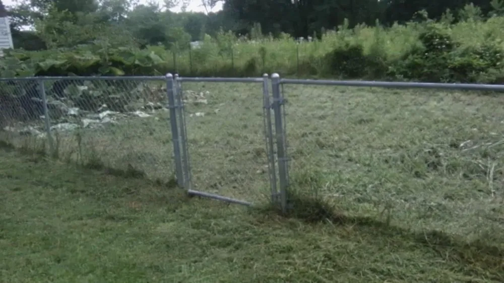 Affordable yard maintenance for outdoor upgrades across Columbus, IN - Hankins Greenscapes