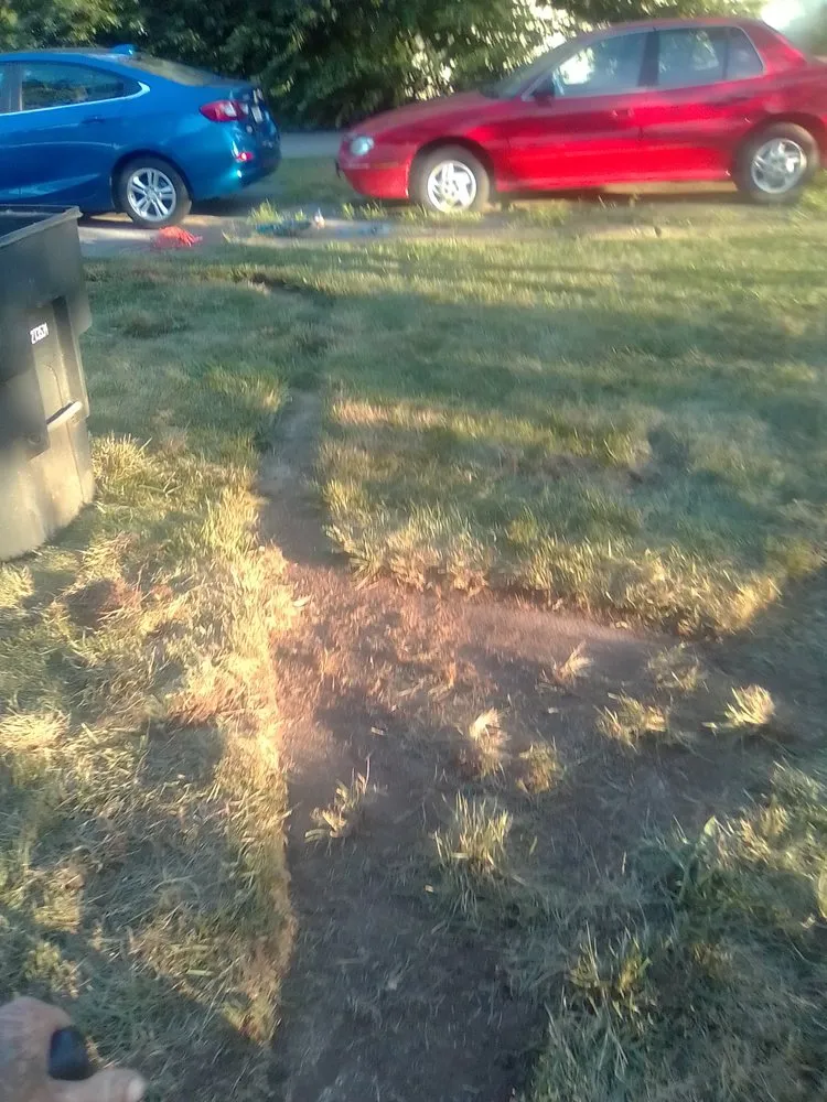 Local garden landscaping for outdoor upgrades across Columbus, IN - Hankins Greenscapes