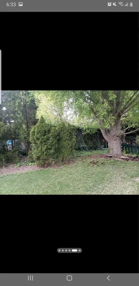 Affordable lawn care service in Columbus, IN by Hankins Greenscapes