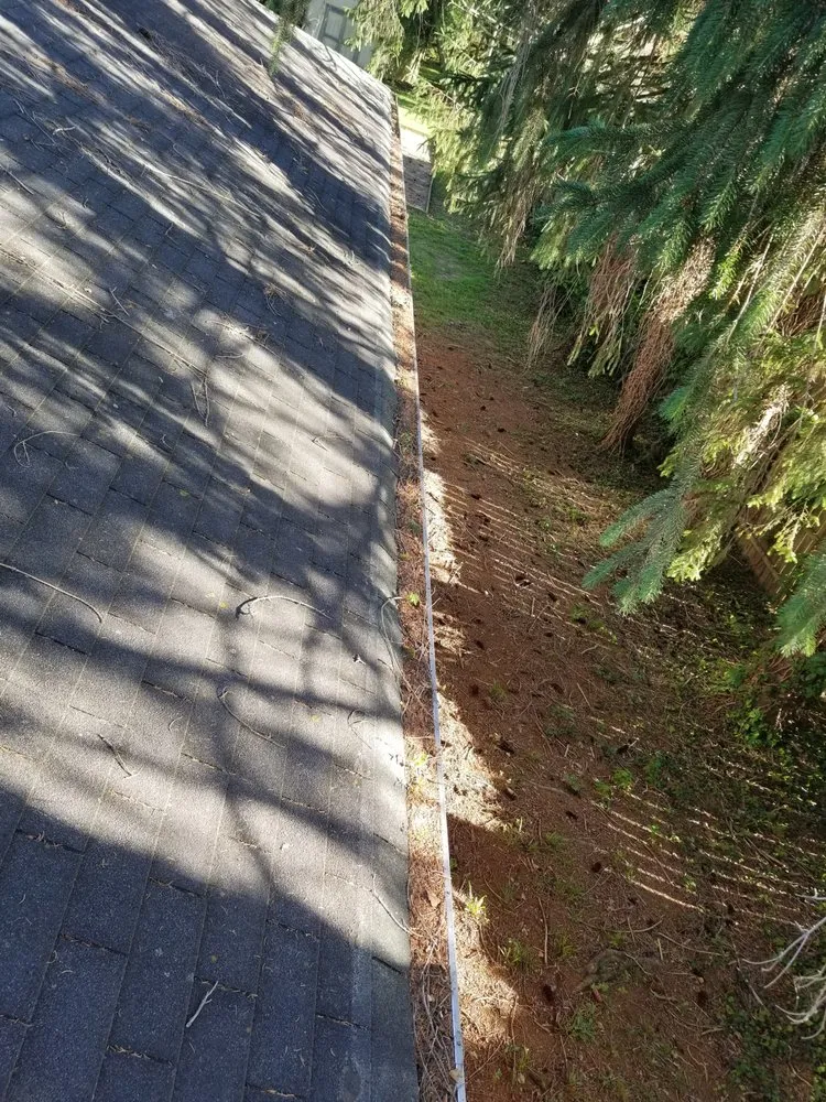 Reliable landscape design for year-round maintenance in Columbus, IN by Hankins Greenscapes