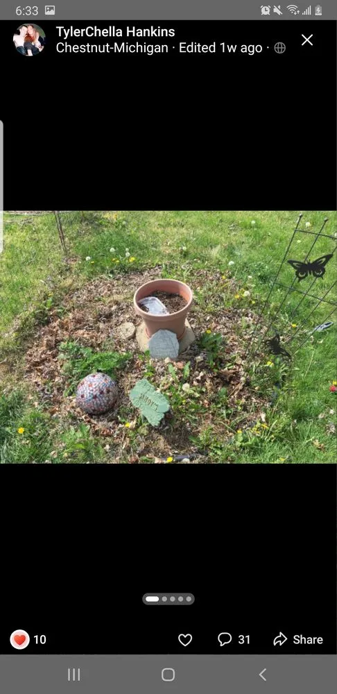 Expert lawn mowing service for residential properties in Columbus, IN by Hankins Greenscapes