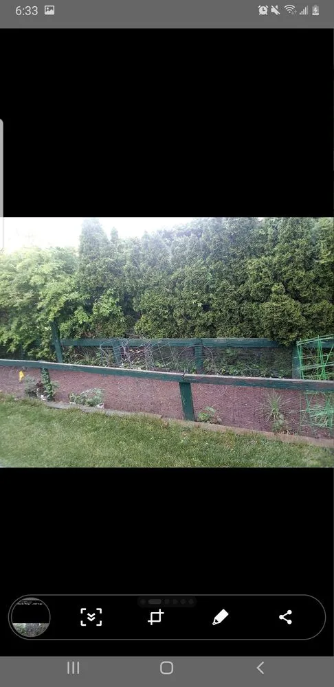 Professional landscape installation in Columbus, IN - Hankins Greenscapes