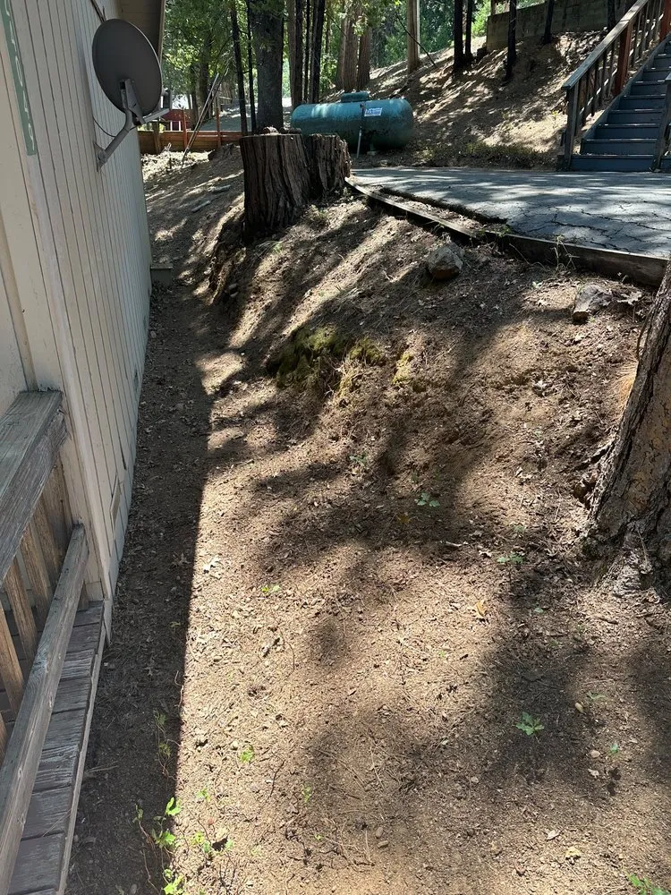 Affordable yard cleanup service experts serving Sonora, CA - Hankins Hauling and Yard Services