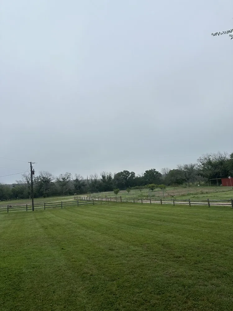 Top-rated landscaping services in Hico, TX by Hankins Lawn and Landscape