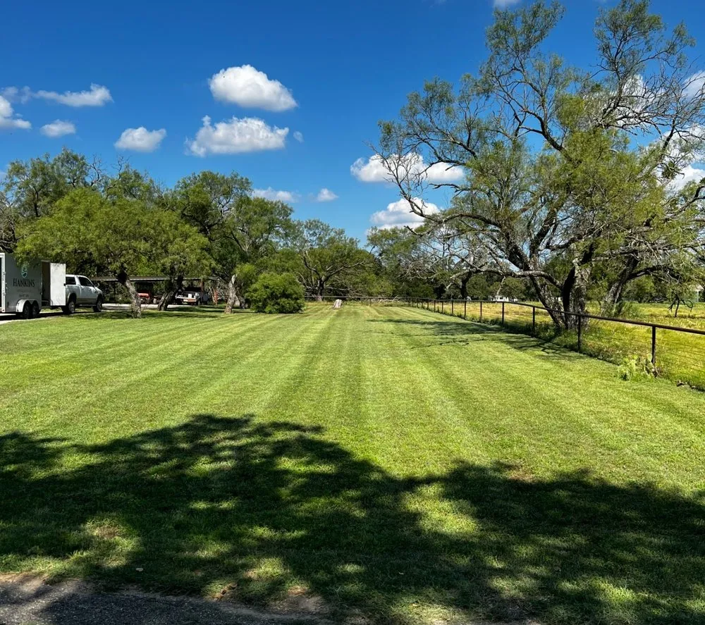 Trusted landscaping services experts serving Hico, TX - Hankins Lawn and Landscape