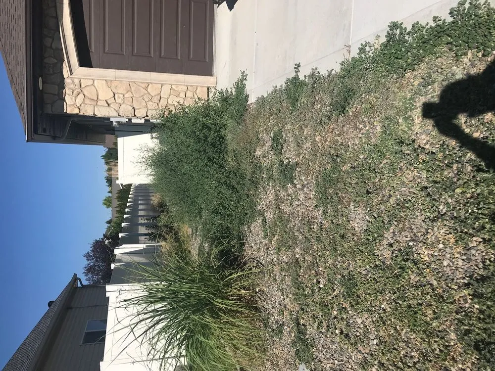 Top-rated residential landscaping experts serving Twin Falls, ID - Hanks Custom Lawn Care