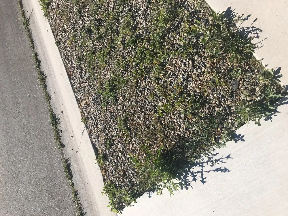 Professional yard maintenance for beautiful yards in Twin Falls, ID by Hanks Custom Lawn Care