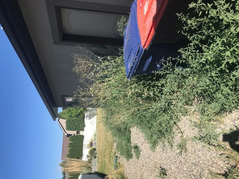 Expert outdoor landscaping in Twin Falls, ID by Hanks Custom Lawn Care