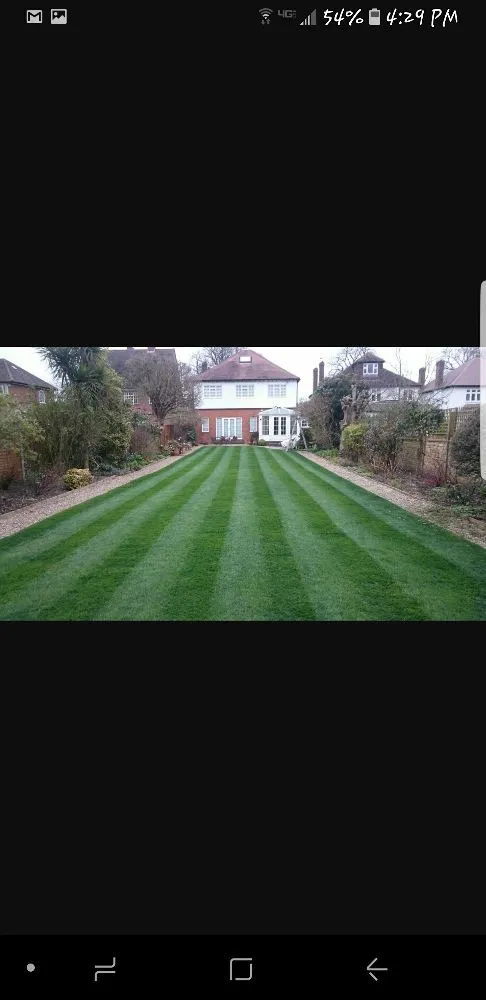 Trusted yard cleanup service in Nassau, NY by Hanks Enterprise