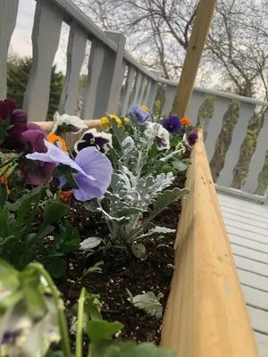 Hank's Lawn Care & Snow Removal