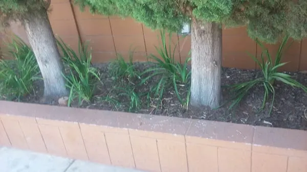 Hanks Lawn Care Logo