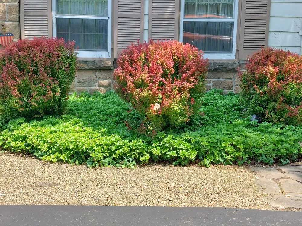 Affordable outdoor landscaping for homes across Salix, PA - Hank's Lawn Care
