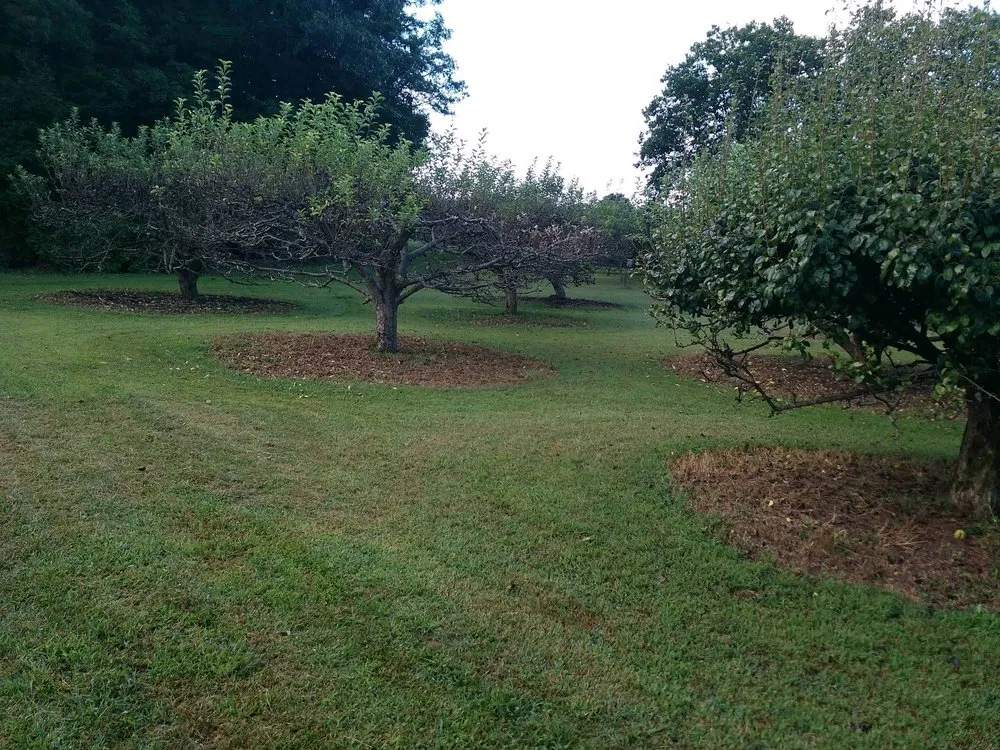 Affordable landscaping services near you across Salix, PA - Hank's Lawn Care