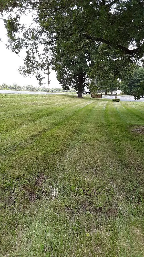 Expert residential landscaping for beautiful yards in Reidsville, NC by Hanks Lawncare