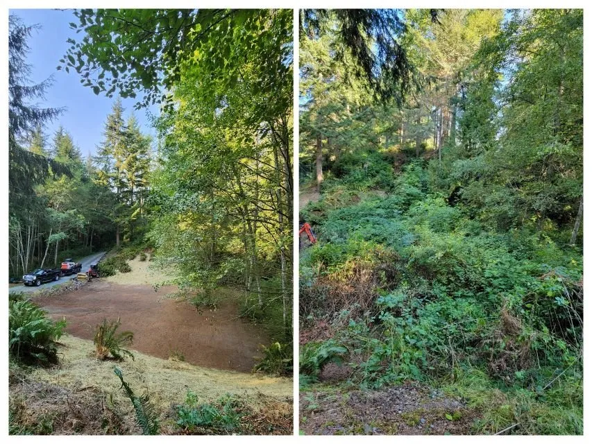 Affordable lawn care service near you across Coupeville, WA - Hank's Tree Services