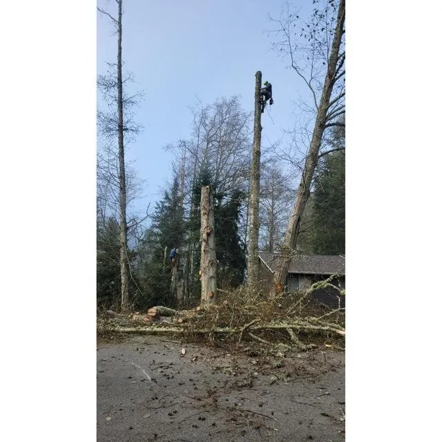 Expert landscape design experts serving Coupeville, WA - Hank's Tree Services