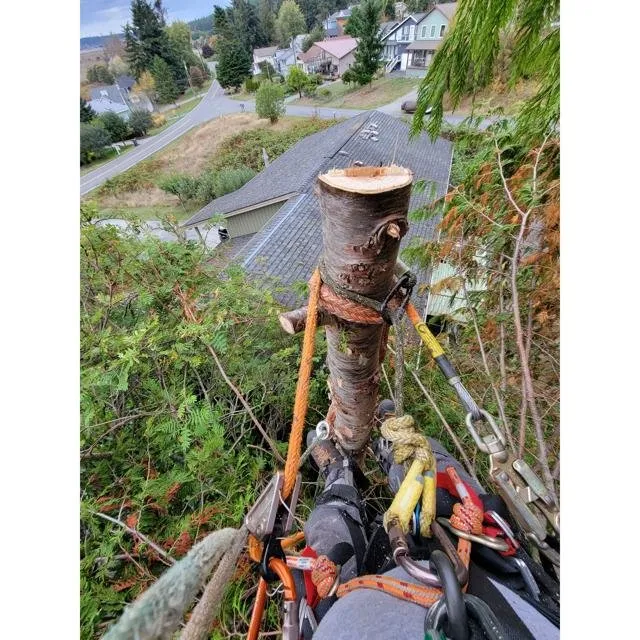 Affordable landscape installation in Coupeville, WA by Hank's Tree Services