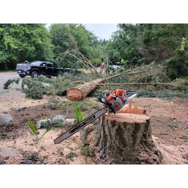 Top-rated outdoor landscaping for year-round maintenance across Coupeville, WA - Hank's Tree Services