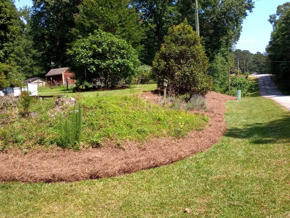 Top-rated yard maintenance in Augusta, GA by Hannah Hauling and Landscaping