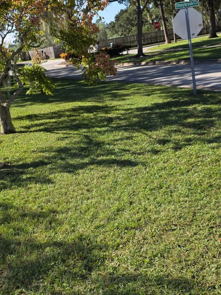 Trusted landscape installation experts serving Lake City, FL - Hannah Lawn Services