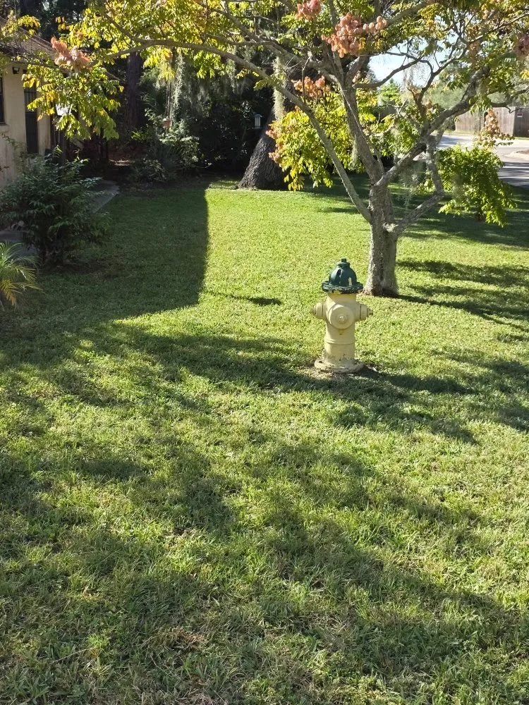 Custom garden landscaping for outdoor upgrades in Lake City, FL by Hannah Lawn Services