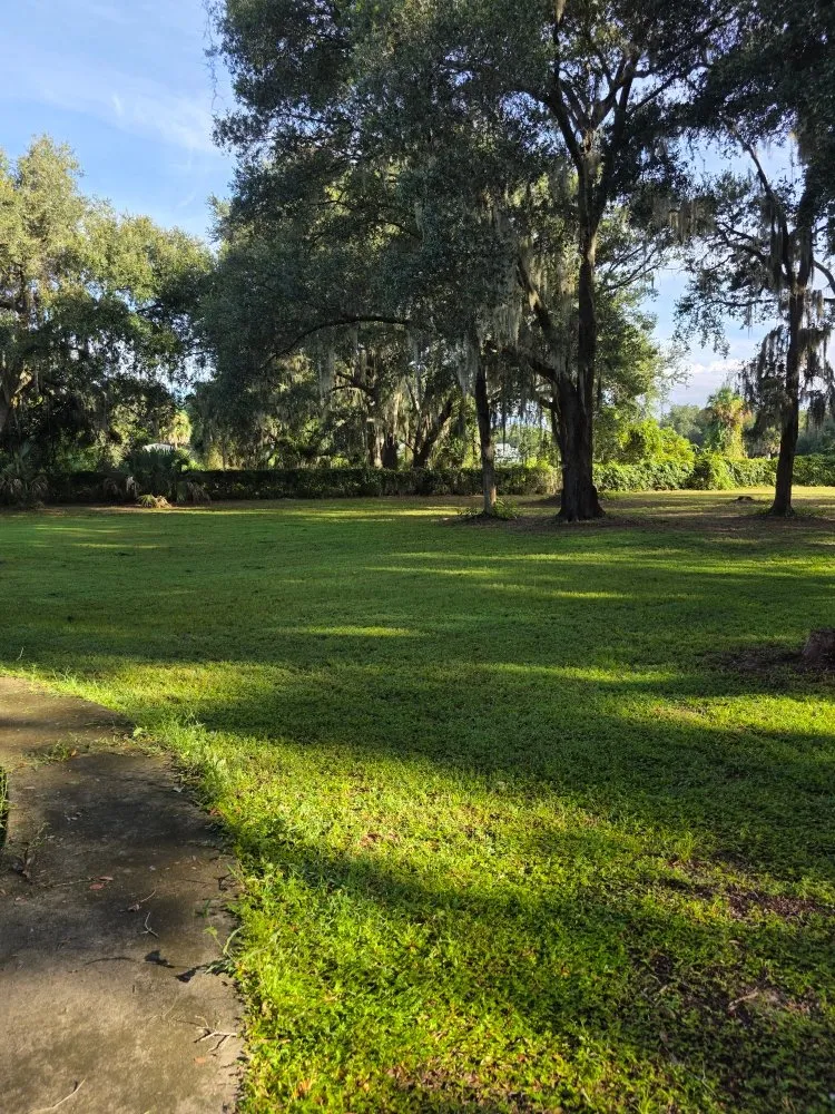 Expert landscape design with custom design in Lake City, FL by Hannah Lawn Services