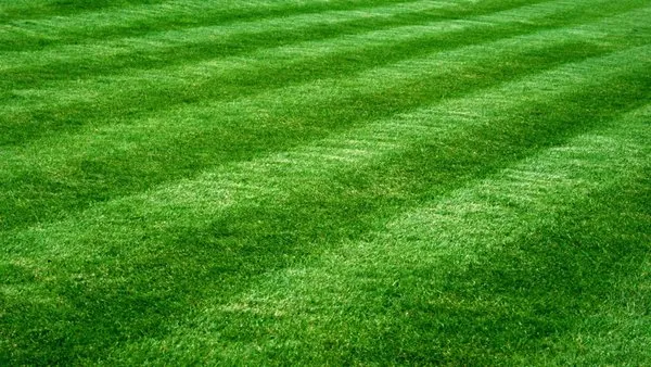 Hannah Lawn Services Logo