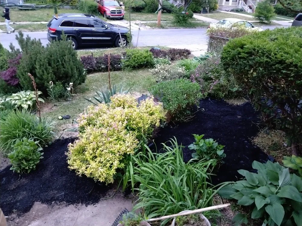 Local yard maintenance in Cleveland, OH - Hannah's Help Service