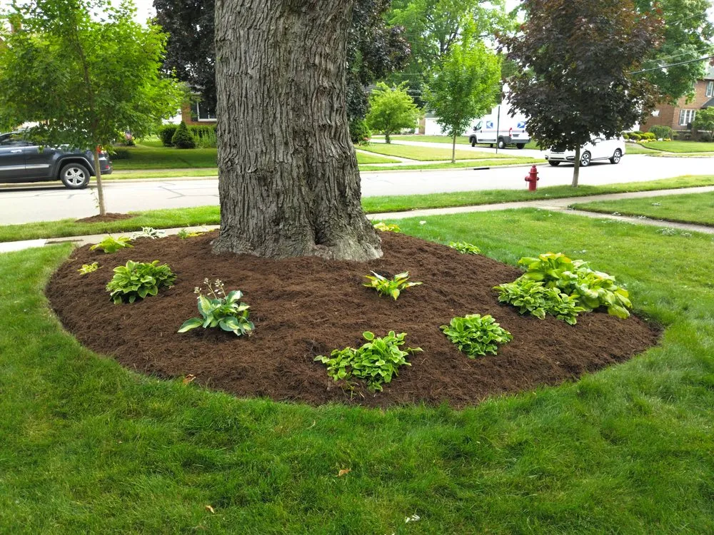 Top-rated yard maintenance experts serving Cleveland, OH - Hannah's Help Service