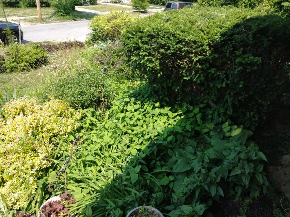 Affordable landscape installation with custom design in Cleveland, OH by Hannah's Help Service