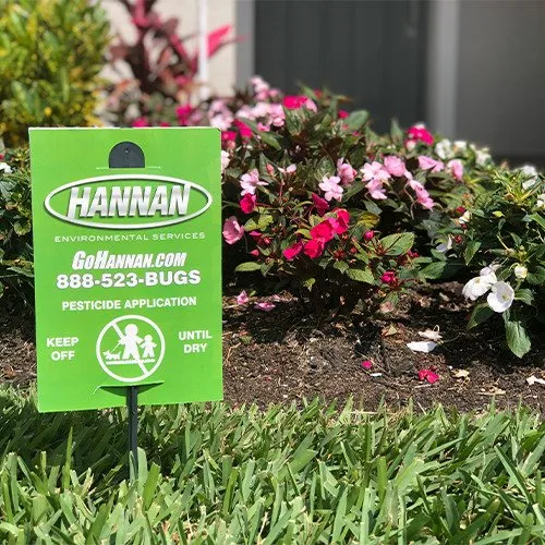 Top-rated residential landscaping experts serving Port St. Lucie, FL - Hannan Environmental Services