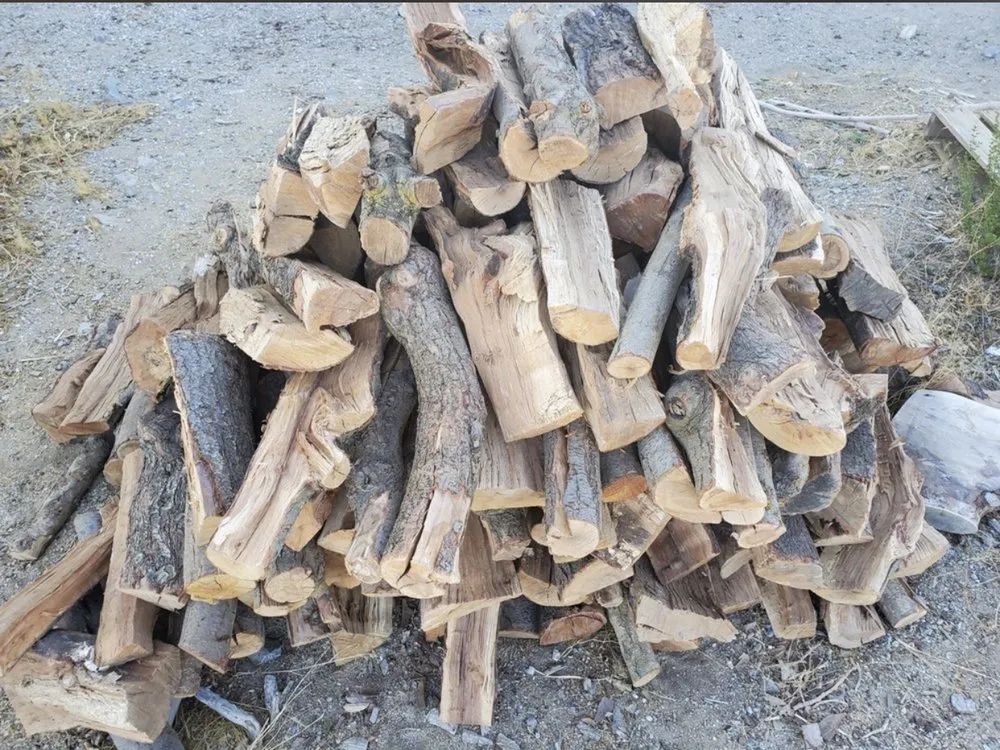 Trusted yard cleanup service experts serving Victorville, CA - Hanna’s Nursery N Feed